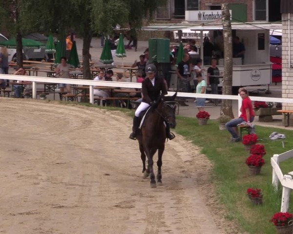 Reitturnier Letmathe 2017