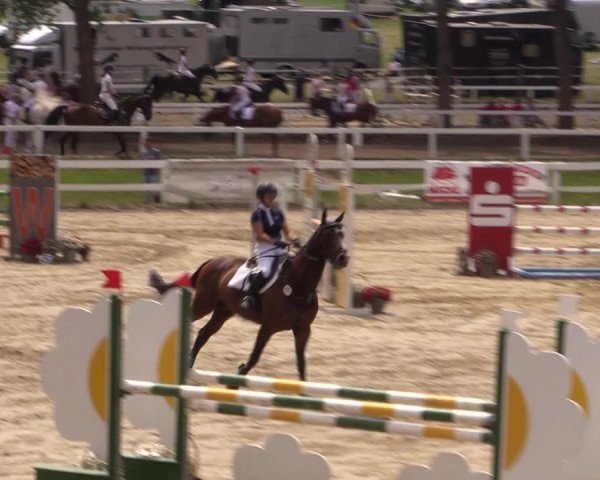 Reitturnier Letmathe 2017