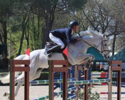 jumper Charlotte Amalie (Hanoverian, 2006, from Chacco-Blue)