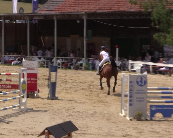 Reitturnier Letmathe 2017