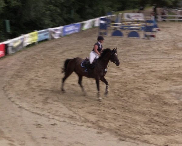 Reitturnier Letmathe 2017