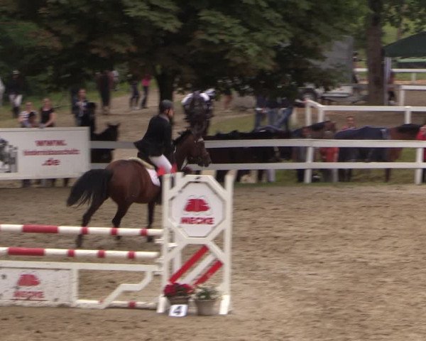 Reitturnier Letmathe 2017
