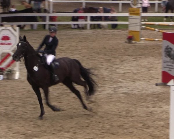 Reitturnier Letmathe 2017