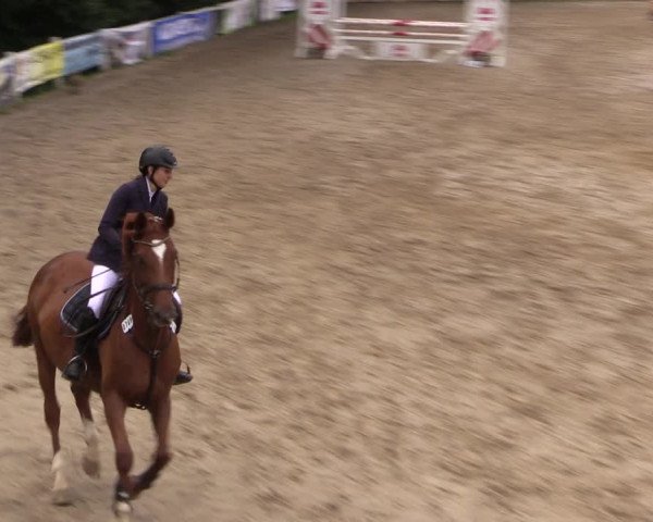 Reitturnier Letmathe 2017