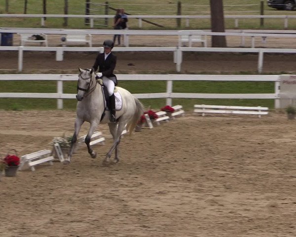 Reitturnier Letmathe 2017