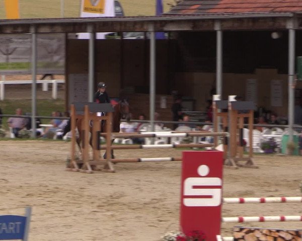 Reitturnier Letmathe 2017