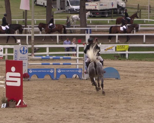Reitturnier Letmathe 2017
