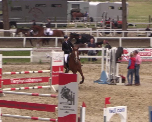 Reitturnier Letmathe 2017