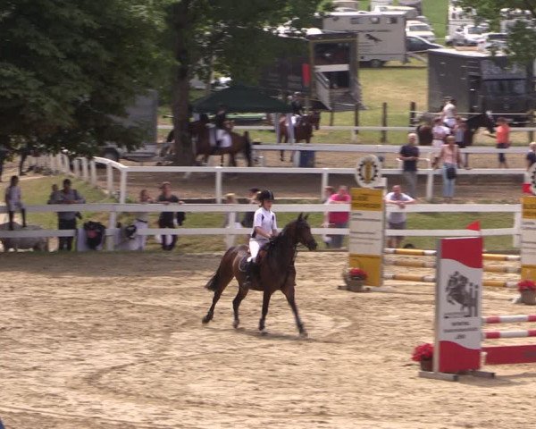 Reitturnier Letmathe 2017