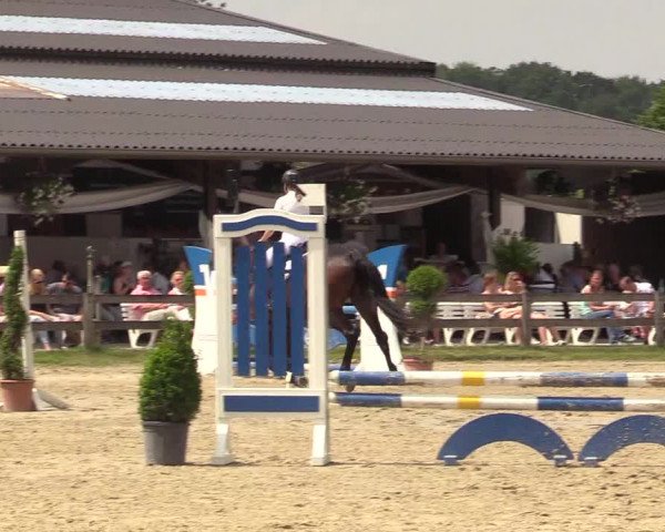 Reitturnier Münster-Roxel 2017