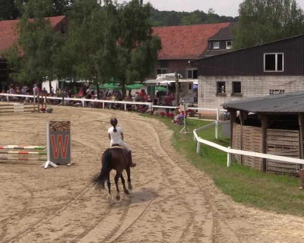 Reitturnier Letmathe 2017