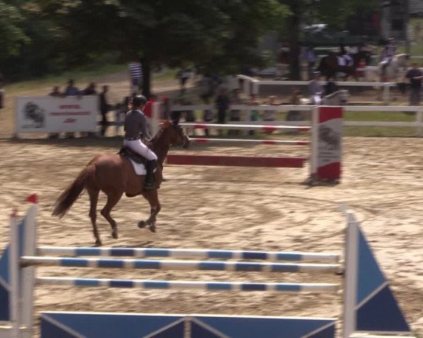 Reitturnier Letmathe 2017