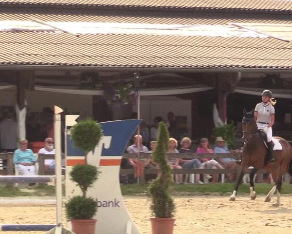 Reitturnier Münster-Roxel 2017
