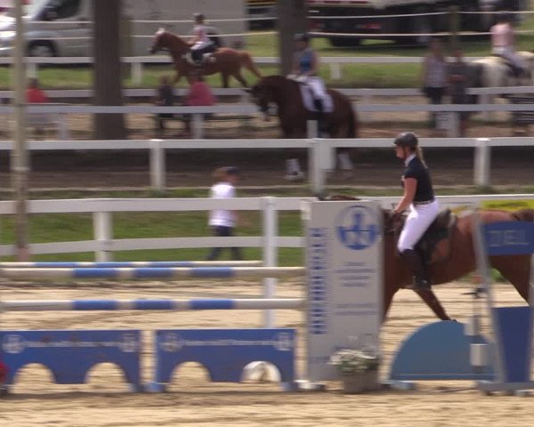 Reitturnier Letmathe 2017