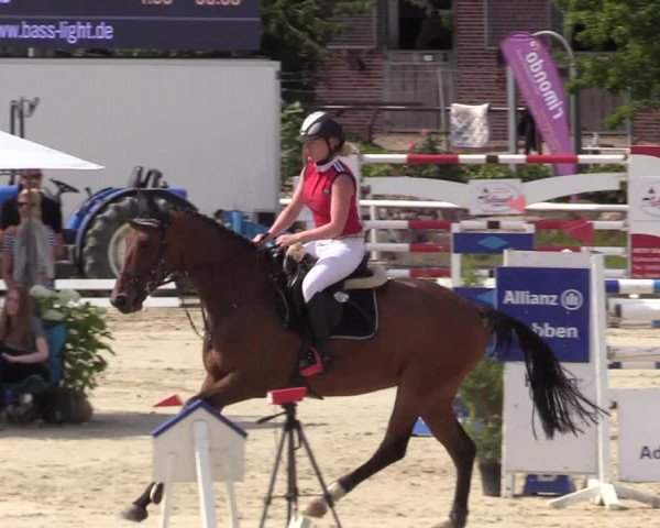 Reitturnier Haren 2017