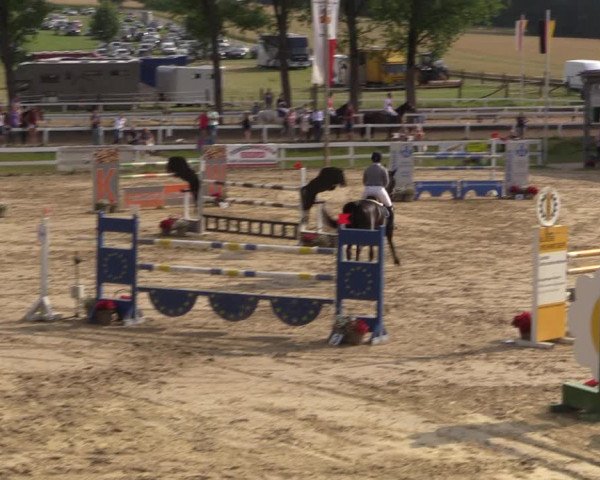 Reitturnier Letmathe 2017