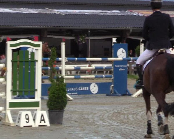 Reitturnier Münster-Roxel 2017