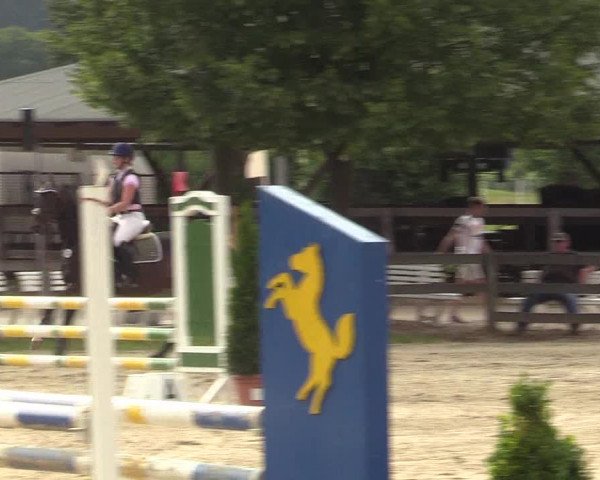 Reitturnier Münster-Roxel 2017