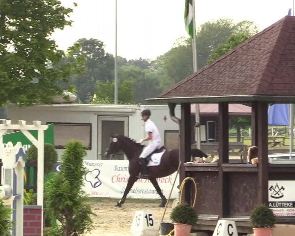 Reitturnier Münster-Roxel 2017