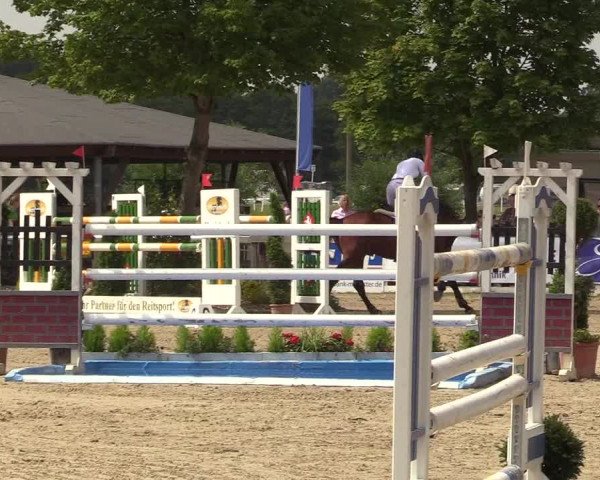 Reitturnier Münster-Roxel 2017