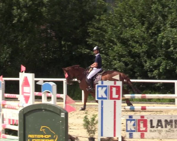 Reitturnier Haren 2017