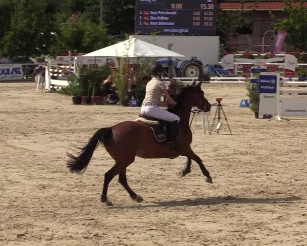 Reitturnier Haren 2017