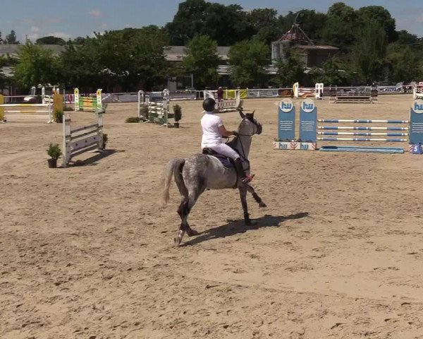 Reitturnier Haren 2017
