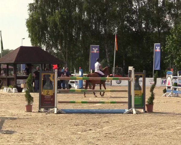 Reitturnier Münster-Roxel 2017