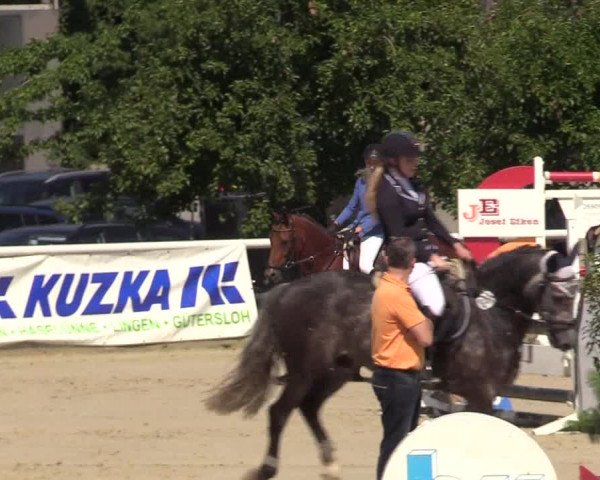 Reitturnier Haren 2017