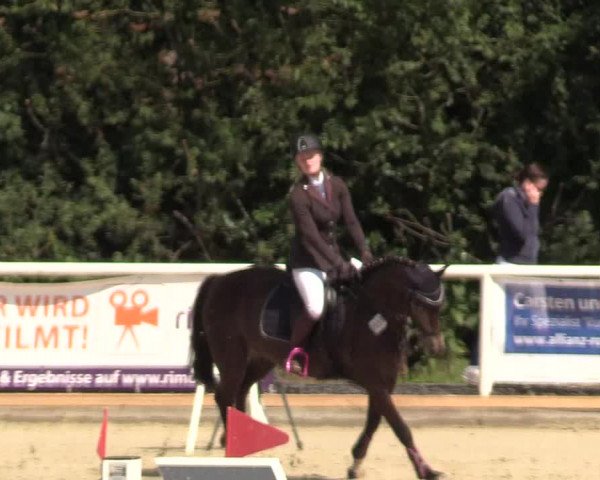 Reitturnier Haren 2017