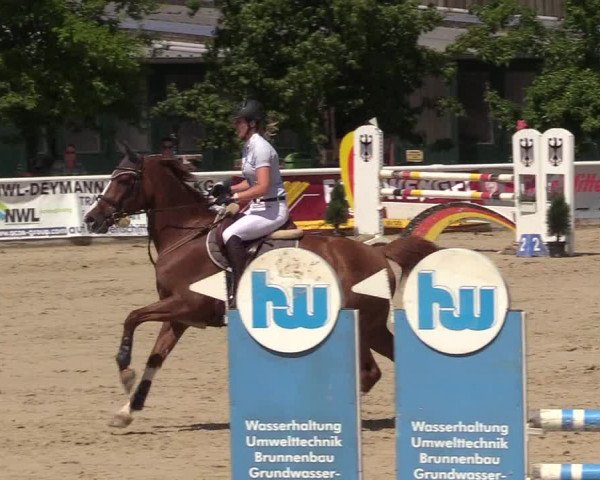 Reitturnier Haren 2017