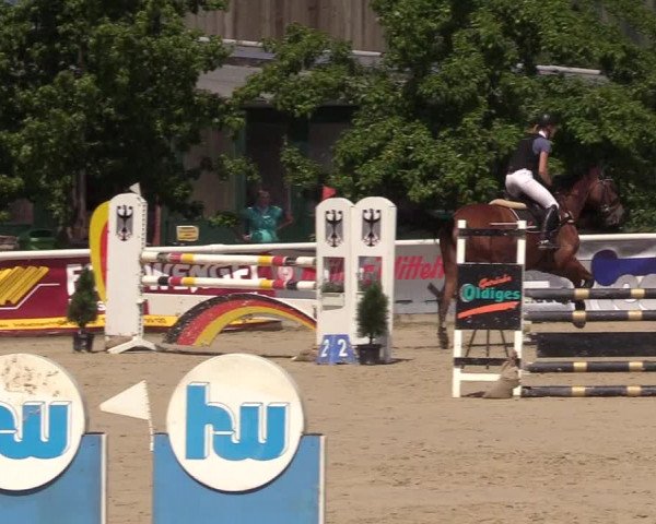 Reitturnier Haren 2017