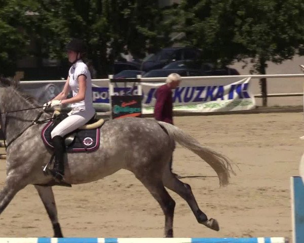 Reitturnier Haren 2017