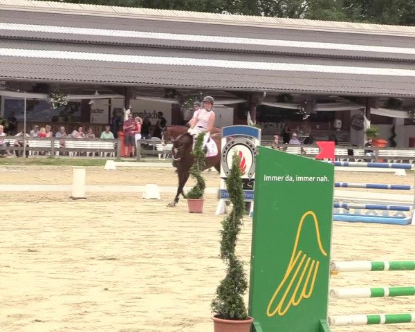 Reitturnier Münster-Roxel 2017