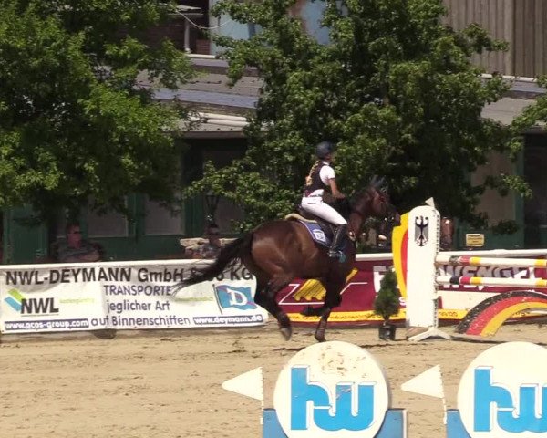 Reitturnier Haren 2017