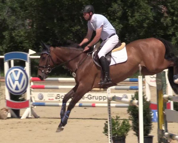 Reitturnier Haren 2017