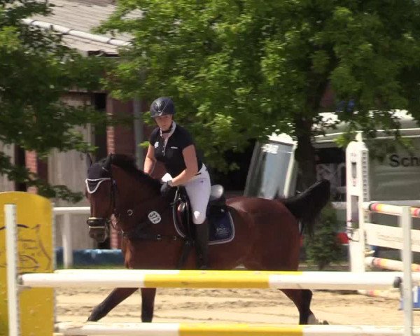Reitturnier Haren 2017