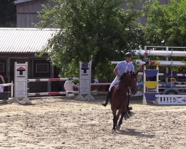 Reitturnier Haren 2017
