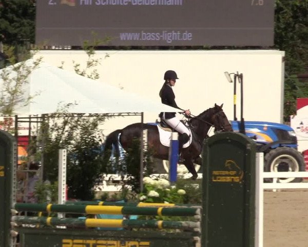 Reitturnier Haren 2017