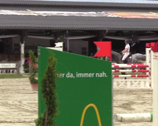 Reitturnier Münster-Roxel 2017