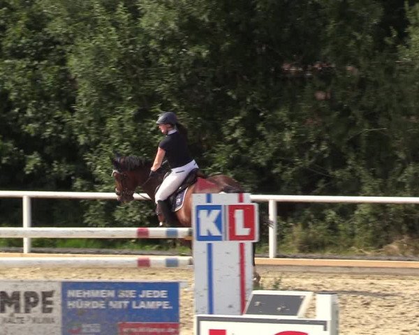 Reitturnier Haren 2017