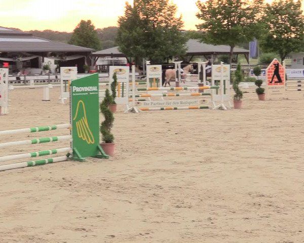 Reitturnier Münster-Roxel 2017