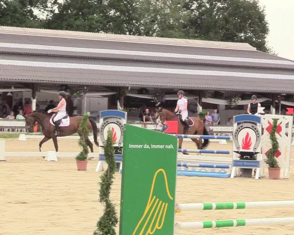 Reitturnier Münster-Roxel 2017