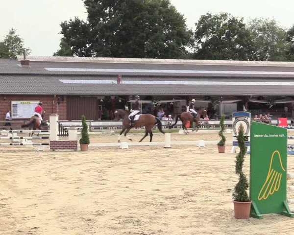Reitturnier Münster-Roxel 2017