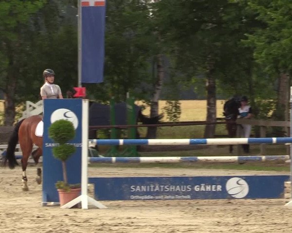 Reitturnier Münster-Roxel 2017