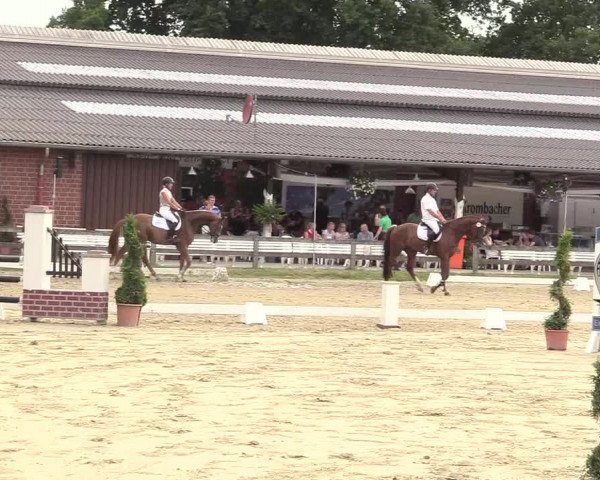 Reitturnier Münster-Roxel 2017