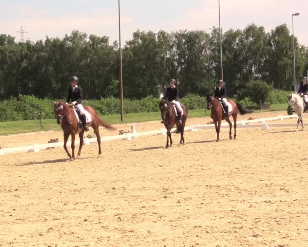 Reitturnier Münster-Roxel 2017