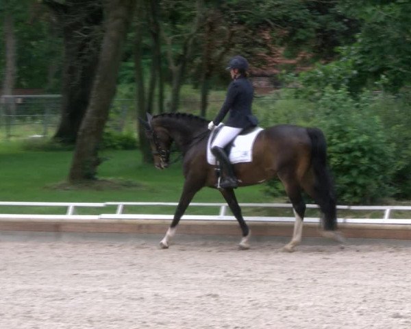 Reitturnier Redefin 2017