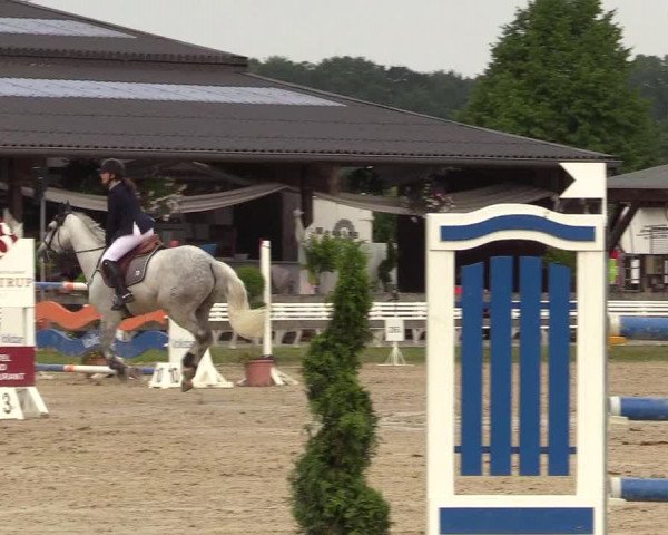 Reitturnier Münster-Roxel 2017