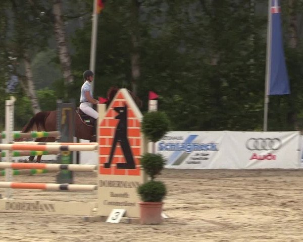 Reitturnier Münster-Roxel 2017